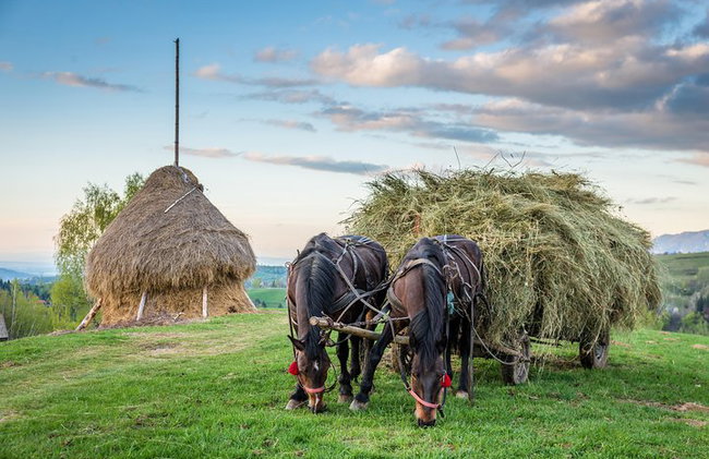 Bucovina & Transylvania Tour – 3 days - Photo 11