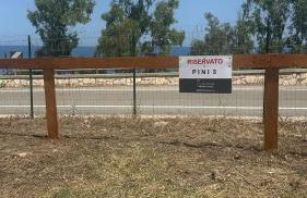 Pini, a Paradise Oasis - Foto 32