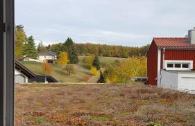 Ferienwohnung Kohl'sche Hof - Foto 14