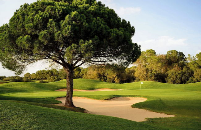 Marriott's Club Son Antem - Foto 32