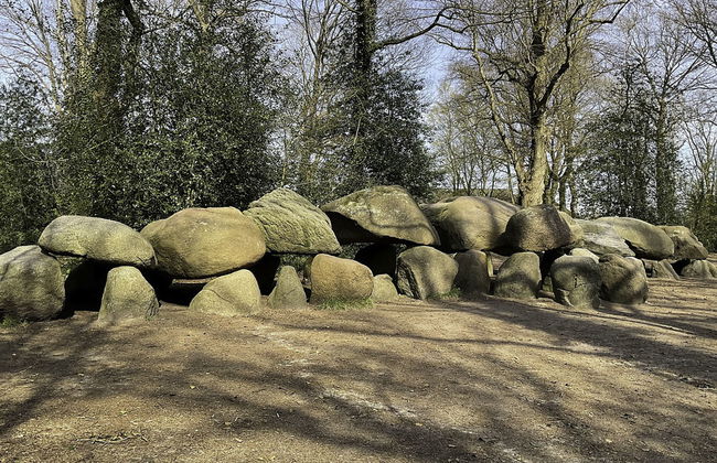 2 bedroom House in Elim with garden and terrace - Photo 15