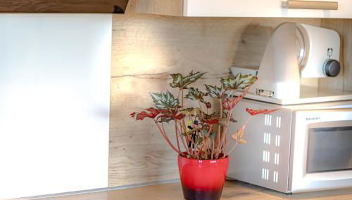 FEWO 2 zur schönen Aussicht - Foto 4