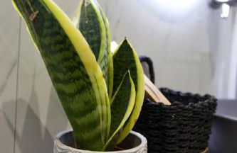 ODI ARTSPITALITY - Foto 7