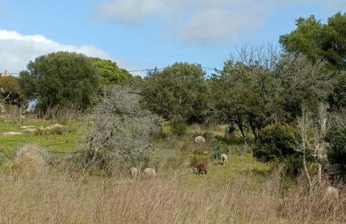 Appt neuf 2-4 pers avec loggia - Piscine chauffée - Bord de mer - Corse du Sud- Bonifacio - Foto 45