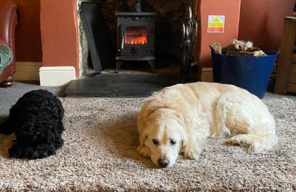 Red Dragon Cottages nr Mt Snowdon - Photo 12