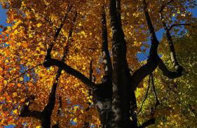 A CASA DI SISSI - Foto 31