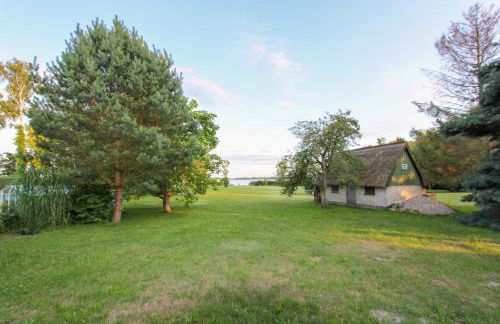 Schilfkante - Am Ufer - Foto 17