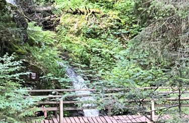 Haus am Waldrand - Foto 33