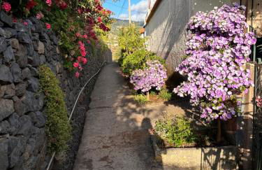 Tranquilidade - Foto 19