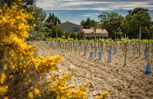 Villa Cantirane - Foto 48