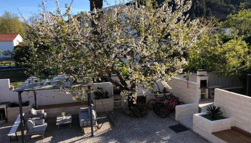 Casa da Avó Olinda - Foto 3