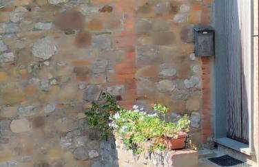 Casa Palmira - Photo 7