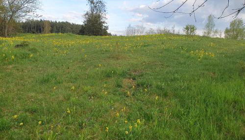 Haus Goldfuß - Foto 4