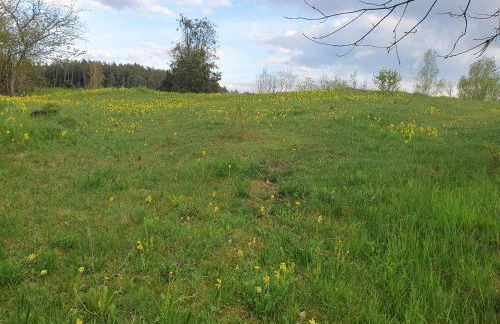 Haus Goldfuß - Foto 4