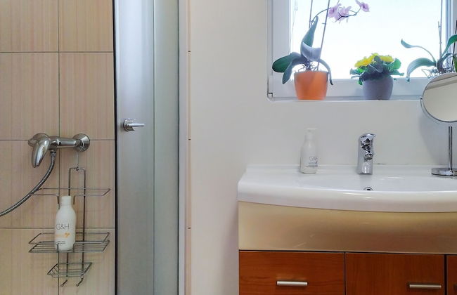 Apartments Vinska Trta - Photo 30