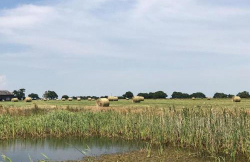 2 Bed in Newton oc-swro - Foto 13