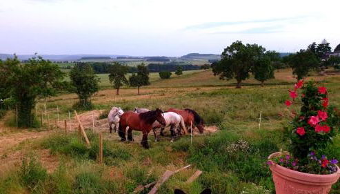 Ferienhaus "Entenhaus" im Gutshaus De La Fontaine - Foto 4