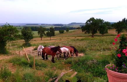 Ferienhaus "Entenhaus" im Gutshaus De La Fontaine - Foto 4