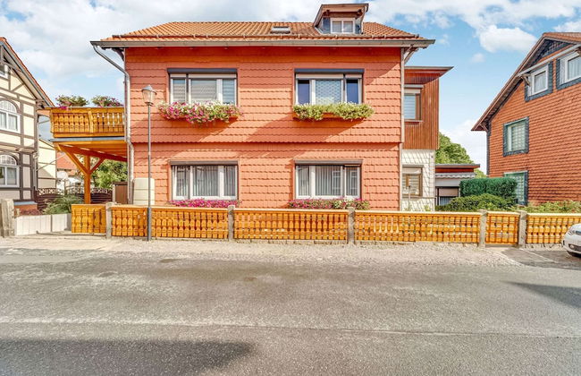 Lovely Apartment in Ilsenburg Harz near Ski Area - Foto 30