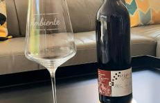 Das AMBIENTE I - Komfortables Wohnerlebnis mit Moselromantik - Herzlich Willkommen - - Foto 27