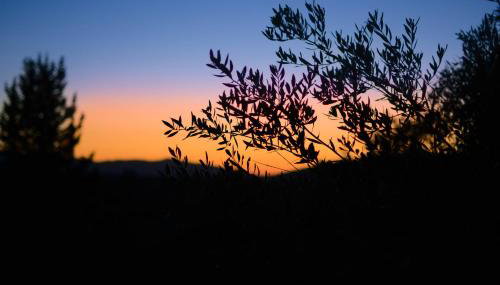 Villa Silvia by Andrian Villas - Foto 5