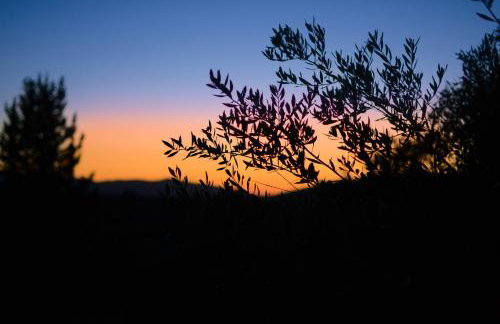 Villa Silvia by Andrian Villas - Foto 5