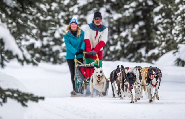 Sundance Resort - Photo 32