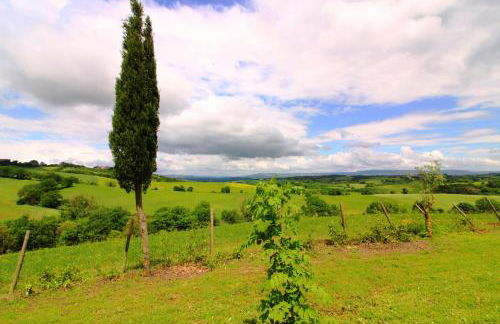 Agriturismo Le Calle - Foto 15