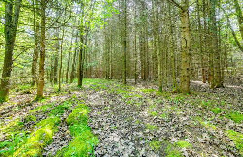 Cardinal Pines Cabin on 8 Acres - Dog Friendly! - Foto 26