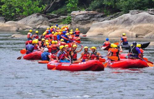 Stay In Ohiopyle near the GAP Trail - Ohiopyle, PA - Foto 41