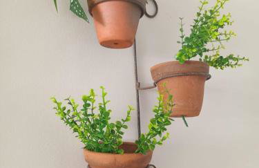 Aconchego e Localização - Foto 37