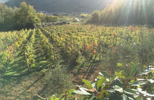 Agriturismo Tenuta La Fratta - Foto 72