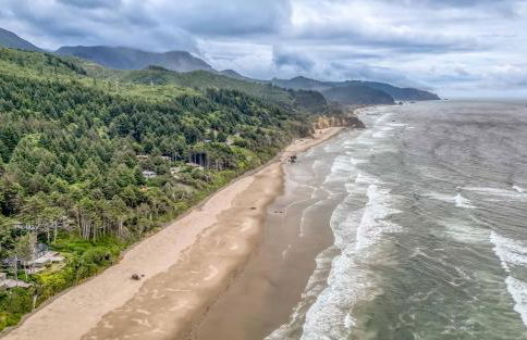 Whales Way - Foto 65