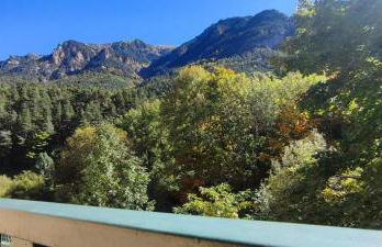 Carlina Canfranc - Foto 1