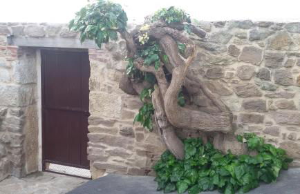 El Pilar de Don Gregorio - Foto 7