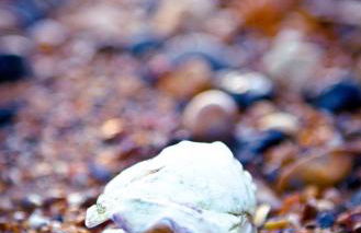 Cosy Little Home By The Sea - Foto 71