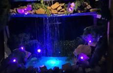 The Escape - Photo 18