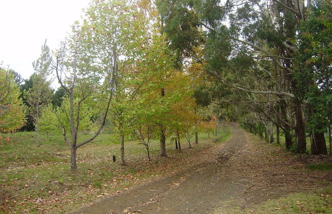 Harry World Parque Hotel - Photo 17