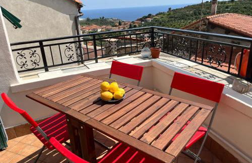 Il sole sopra gli ulivi - Foto 4