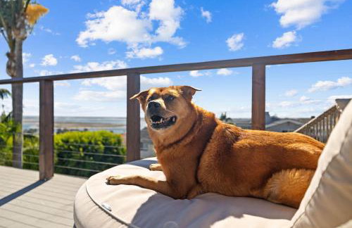 Stunning Bay Views with Pickleball and Hot Tub - Foto 12