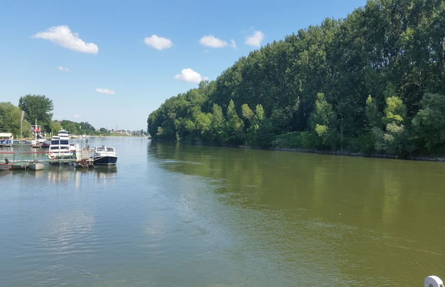 Sportboote Bornheim - Foto 32