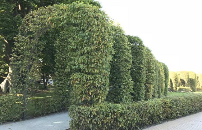 Villa Granitz Apartment - Foto 18