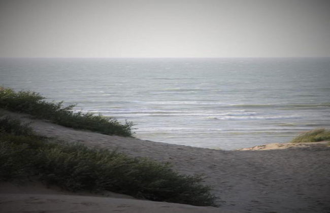 Sunny Escape by the Shore - Photo 28