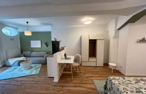 ANER 6 eleganter Loft mit Infrarotsauna in Dresden Weißer Hirsch - Foto 3