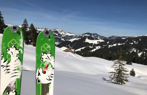 Gemütliche Ferienwohnung Bergwiese, 2-Raum, separates Schlafzimmer, schönen Balkon oder Terrasse, Komfort Ausstattung, ruhige Südlage, kostenfrei WLAN und schöne helle Sauna, Brötchenservice, Parkplatz, Hunde auf Anfrage, E-Tankstelle, Sonnenlage - Photo 56