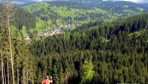 Gästehaus Bündge - Foto 5