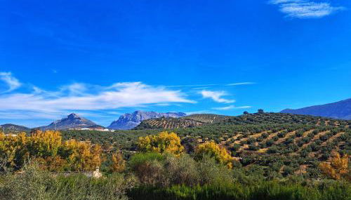 Cortijo La Cañada - Foto 2