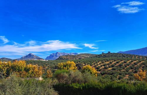 Cortijo La Cañada - Foto 2