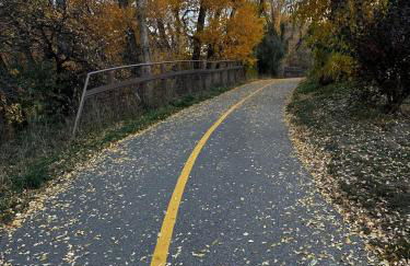 Beaver Creek 2 Bed 2 Bath Condo 1 MIN Walk to Elk Lot - Foto 14