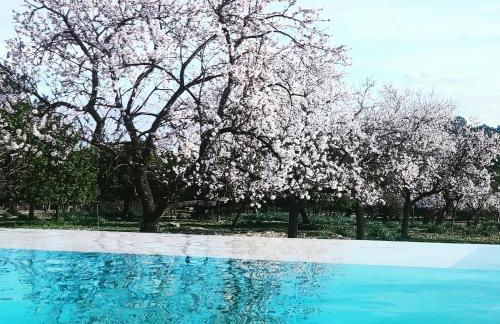 Agroturisme Subies - Foto 7